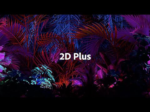 2DPlus | Adobe MAX Sneaks 2020