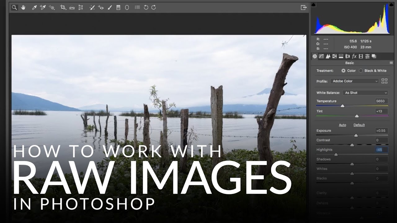 How to Work with RAW Images in Photoshop